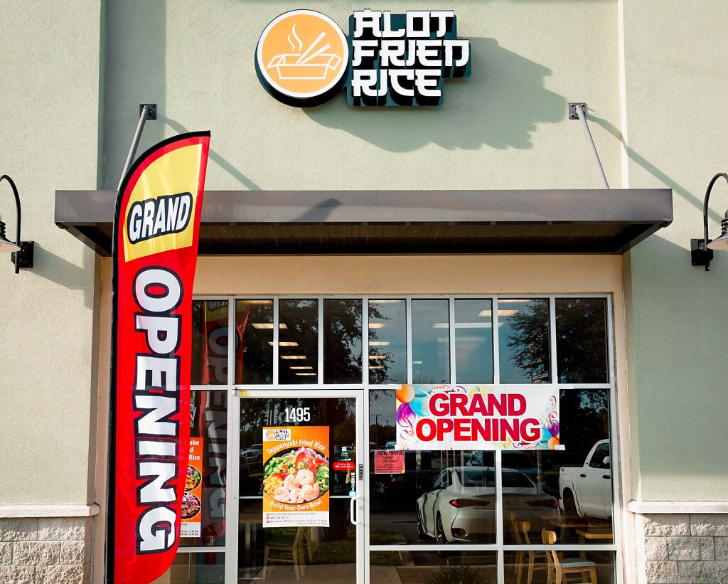 AlotFriedRice